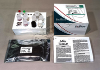 InBios DENV Detect IgM Capture ELISA Kit