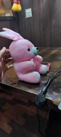 BABY  BUNNY SOFT TOYS