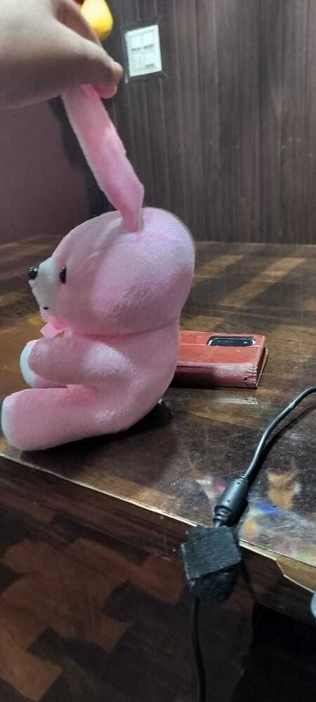 BABY  BUNNY SOFT TOYS