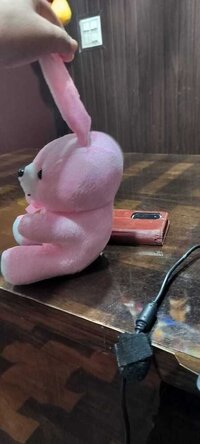 BABY  BUNNY SOFT TOYS