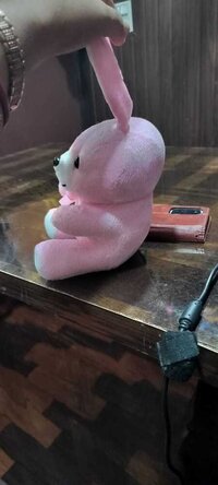 BABY  BUNNY SOFT TOYS