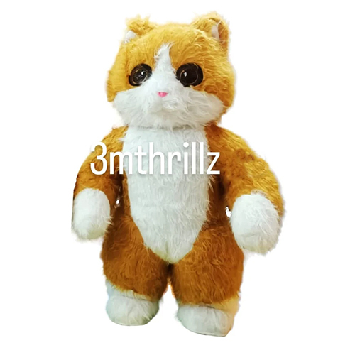 Kitty Air Mascot