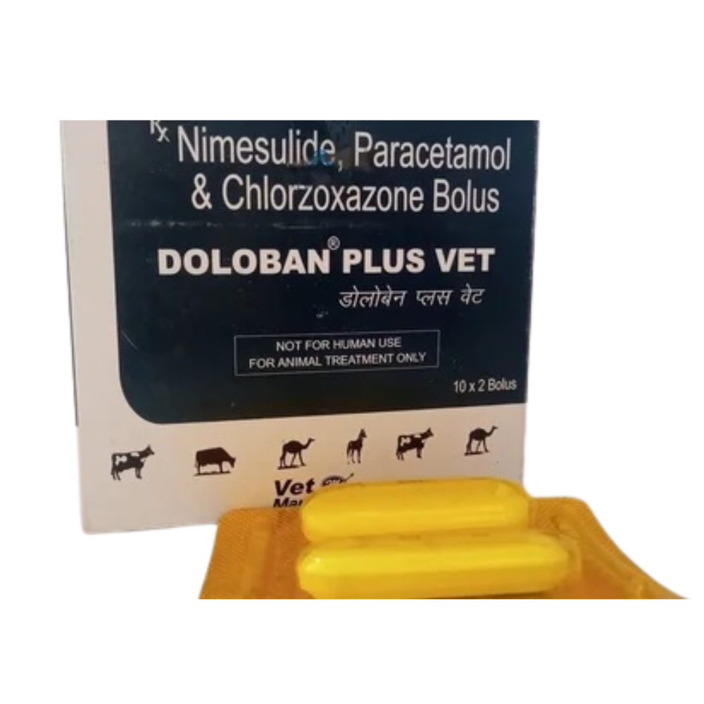 Doloban Plus Vet Bolus - Packaging Type: Box