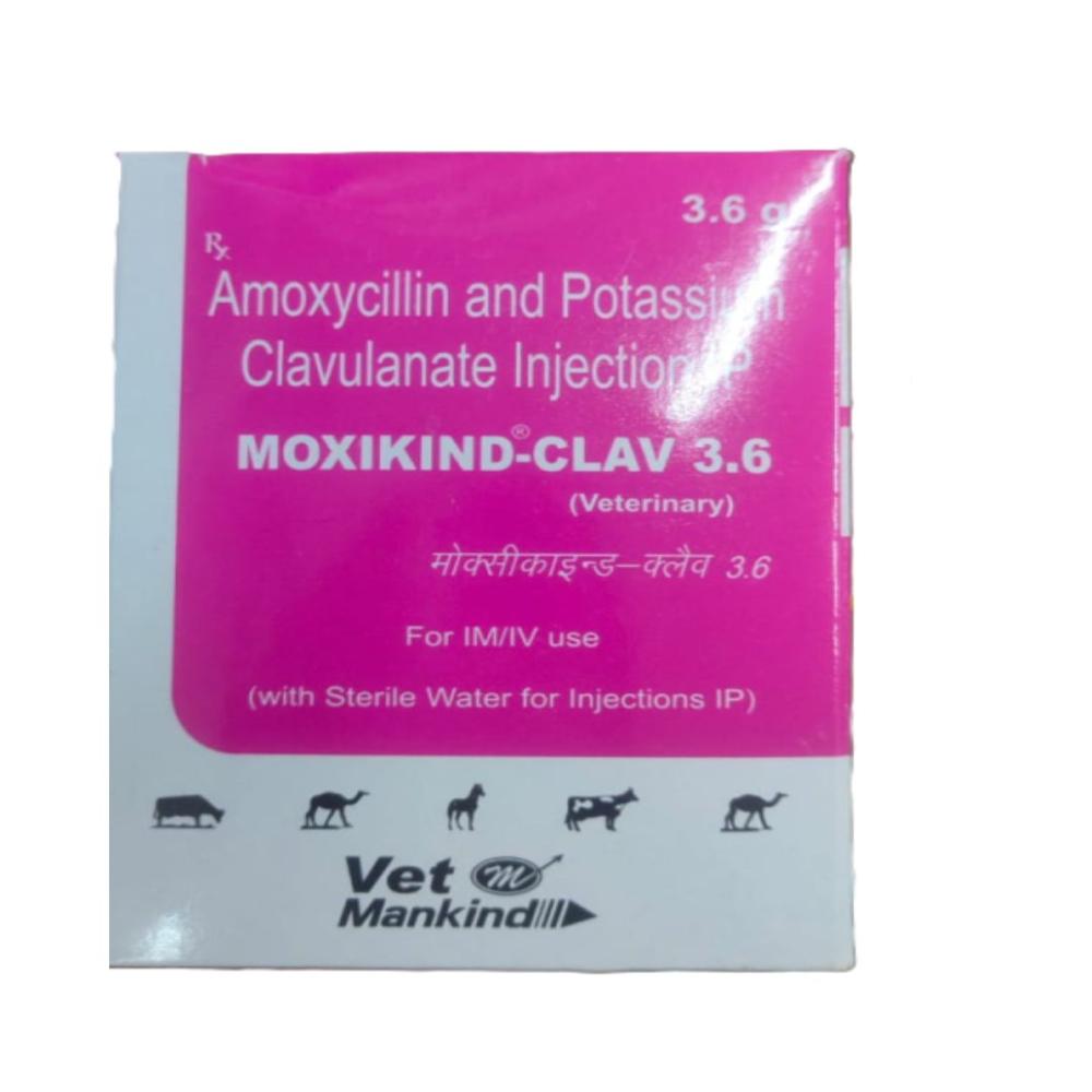 MOXIKIND-CLAV 3.6 INJECTION