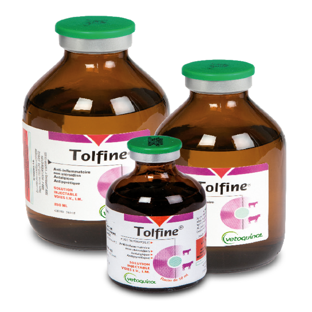 Tolfine 4% 100ml Injection