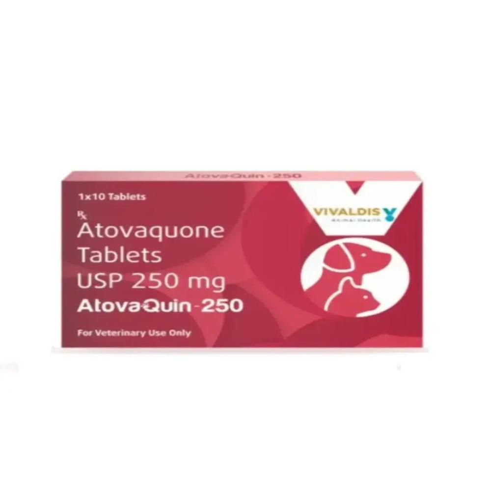 Atovaquin-250 Atovaquone 250mg Tablets