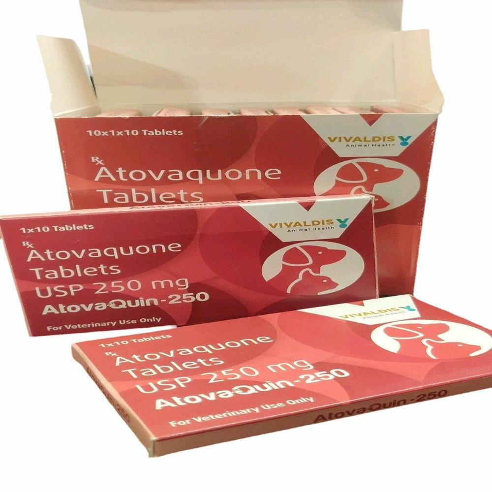 Atovaquin-250 Atovaquone 250mg tablets