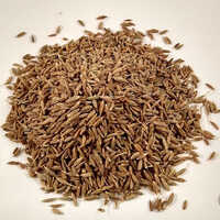 Cumin Seed