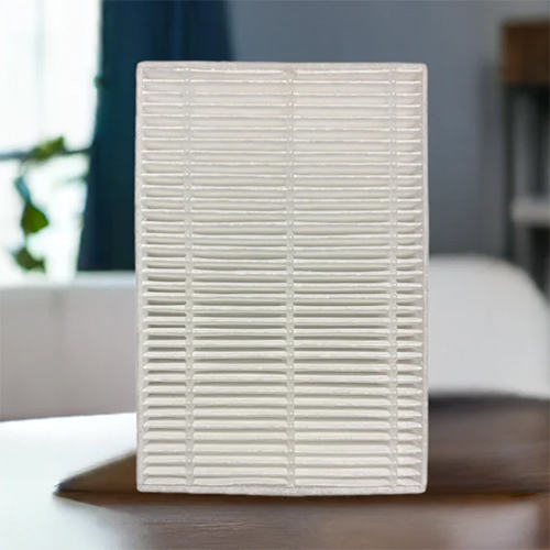 Oxymed Hepa Replacement Filter - Color: As Per Availability