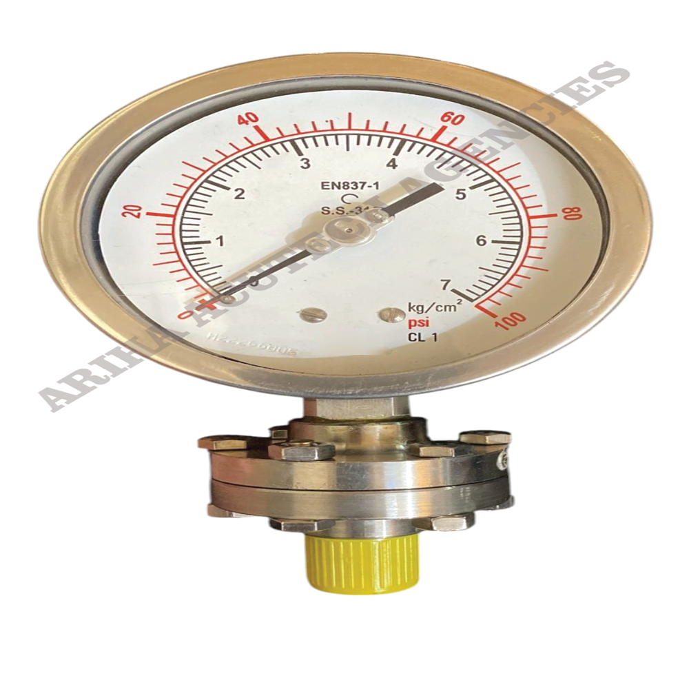 Diaphragm Sealed Gauge