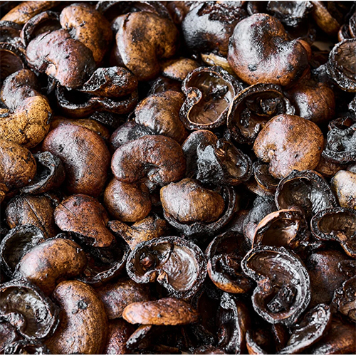 Cashew Nut Shell - Color: Natural