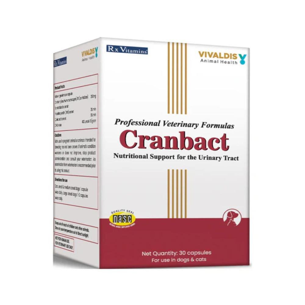  Cranbact Capsules 
