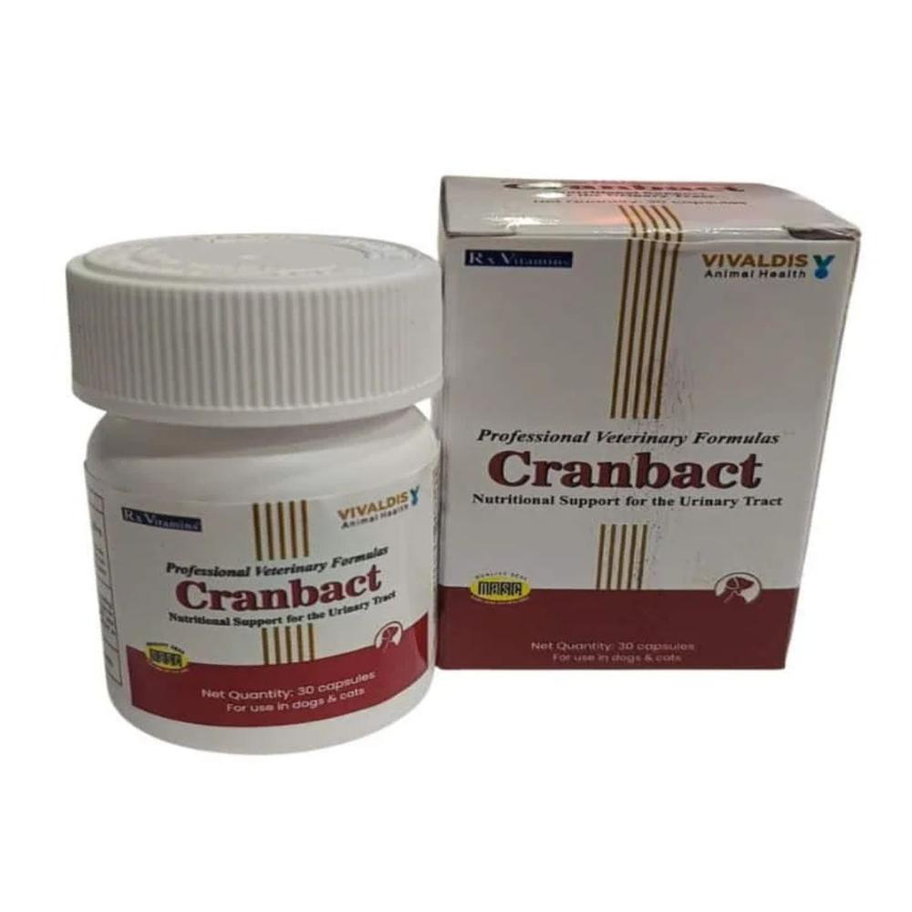  Cranbact Capsules 