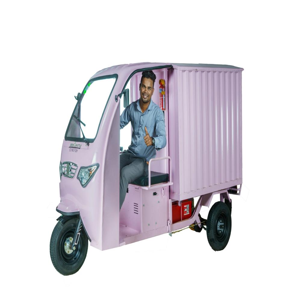 Closed Cargo E Cart
