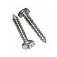 Prabhat Wood Screws