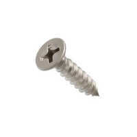 SS Wood Screw