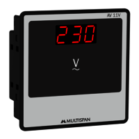 MULTISPAN AV-11V