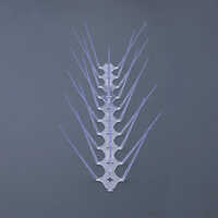 12 Inch Plastic Bird Spike