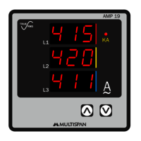 MULTISPAN AMP 19