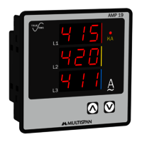 MULTISPAN AMP 19