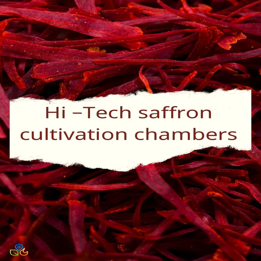 Hi-tech Saffron Cultivation Chamber