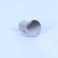 Stainless Steel Rivets