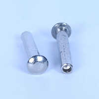 Stainless Steel Hollow Rivets