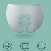 DISPOSABLE PANTIES