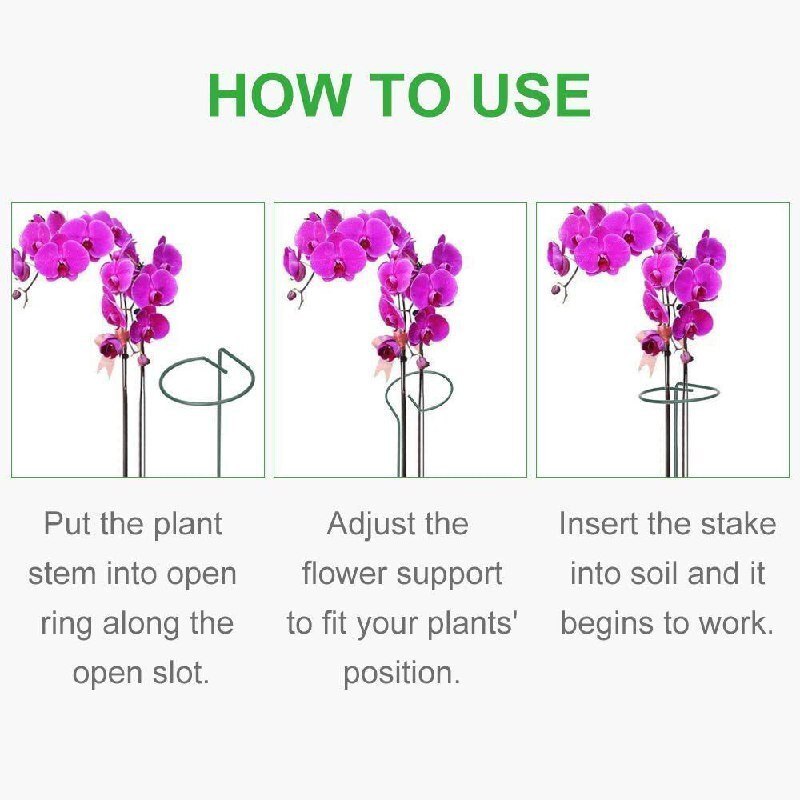 Plant Support Stake - High-quality Metal, Dark Green Coating | Elegant Circular Design, Easy To Use For Supporting Orchids And Climbing Plants