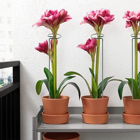Plant Support Stake - High-quality Metal, Dark Green Coating | Elegant Circular Design, Easy To Use For Supporting Orchids And Climbing Plants