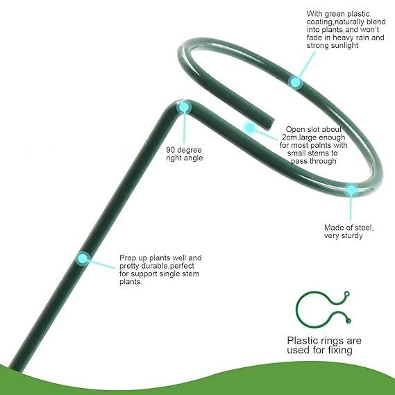 Plant Support Stake - High-quality Metal, Dark Green Coating | Elegant Circular Design, Easy To Use For Supporting Orchids And Climbing Plants