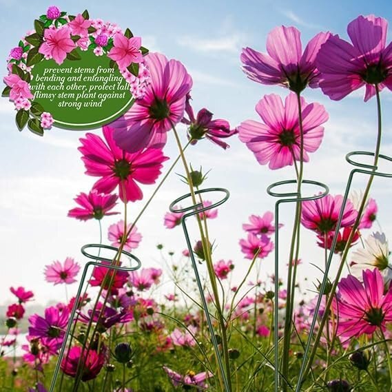 Plant Support Stake - High-quality Metal, Dark Green Coating | Elegant Circular Design, Easy To Use For Supporting Orchids And Climbing Plants