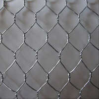 Stainless Steel Chicken Wire Mesh