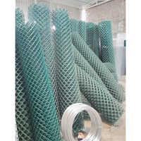 Pvc Coated Wire Mesh - Color: Silver