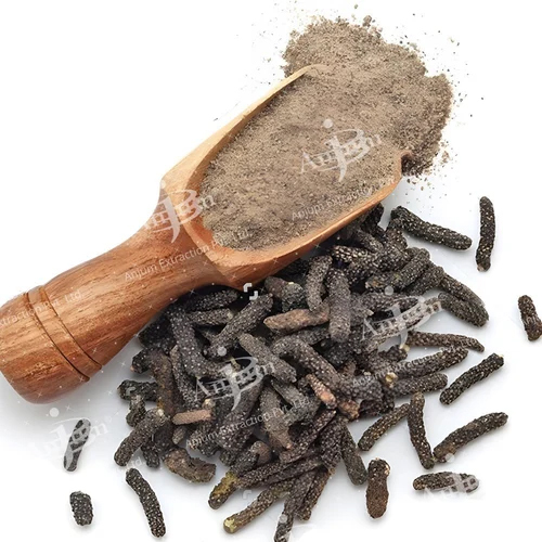 Piper Longum (Piplamool) Extract - Application: Medicine