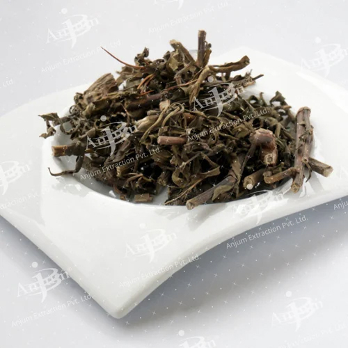 Asteracantha Longifolia (Talmakhana) Extract - Application: Medicine