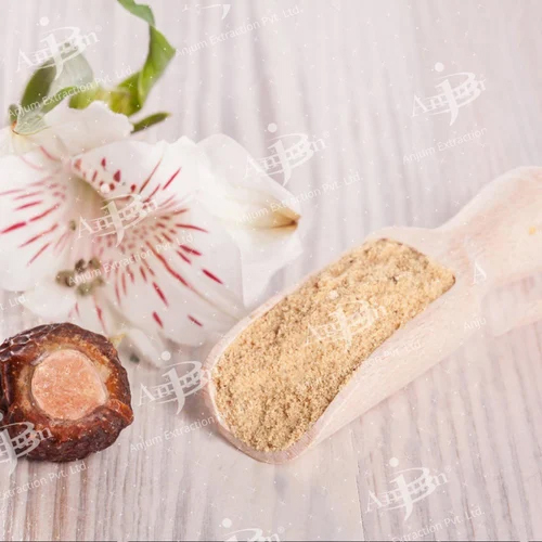 सपिनडस ट्रिफोलीआटस (अरीठा) का अर्क