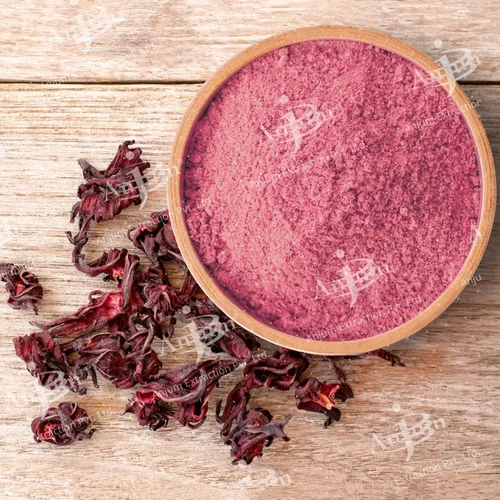 Hibiscus Rosa Sinensis Extract