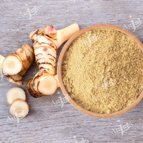 Alpinia Galanga Extract Powder
