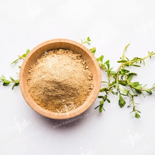 Bacopa Monnieri Extract Powder - Application: Medicine