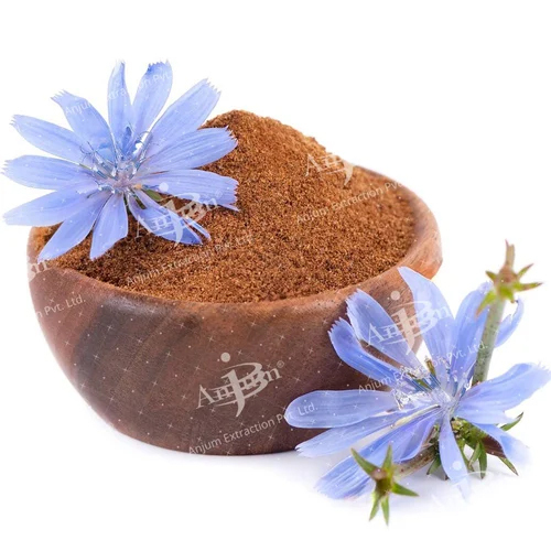 Cichorium Intybus (Kasni Beej) Extract