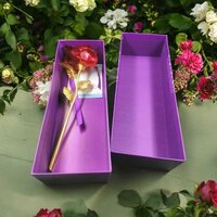 Rose (Amazing golden rose)