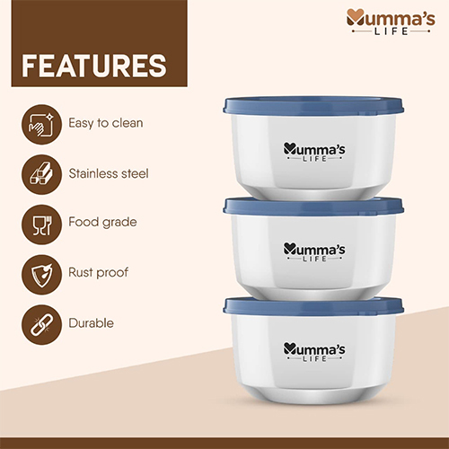 Insulated Lunch Box - Capacity: 240 Milliliter (Ml)
