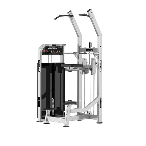 wg90 008 Upper Limbs