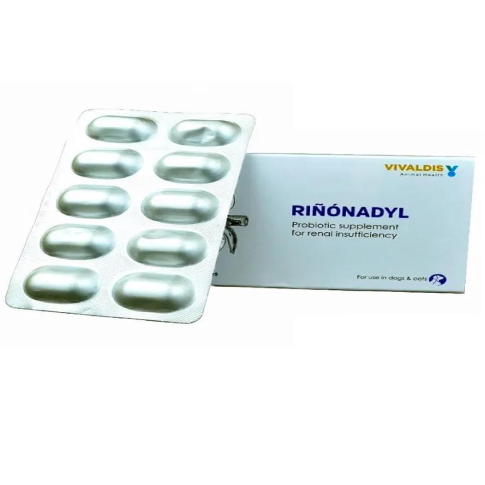 Rinonadyl Capsules - Packaging Type: Box