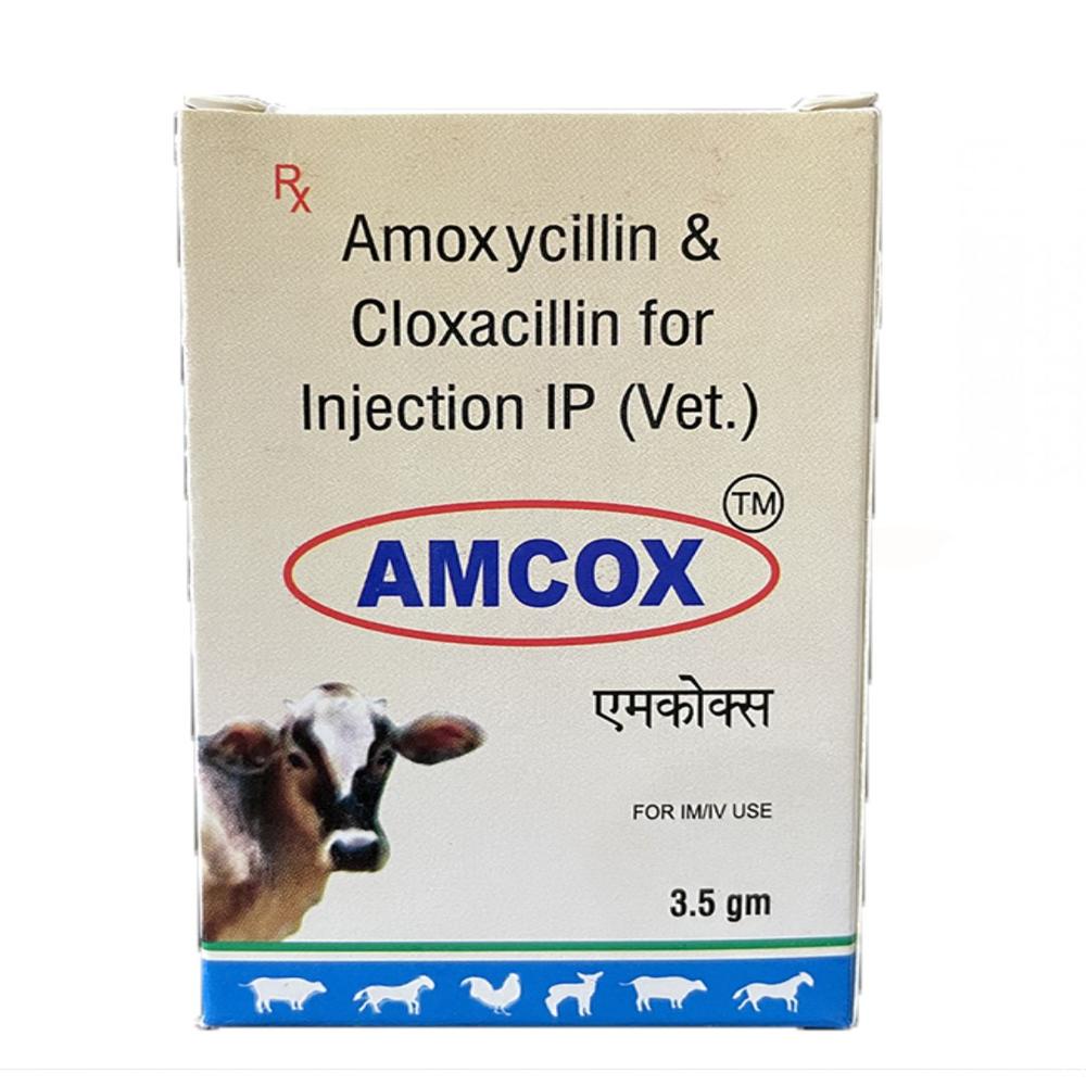 Amcox Amoxycillin and Cloxacillin 3.5gm Injection