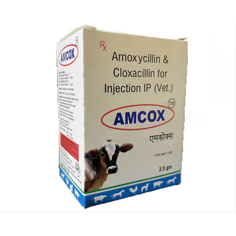 Amcox Amoxycillin And Cloxacillin 3.5gm Injection - Packaging Type: Box