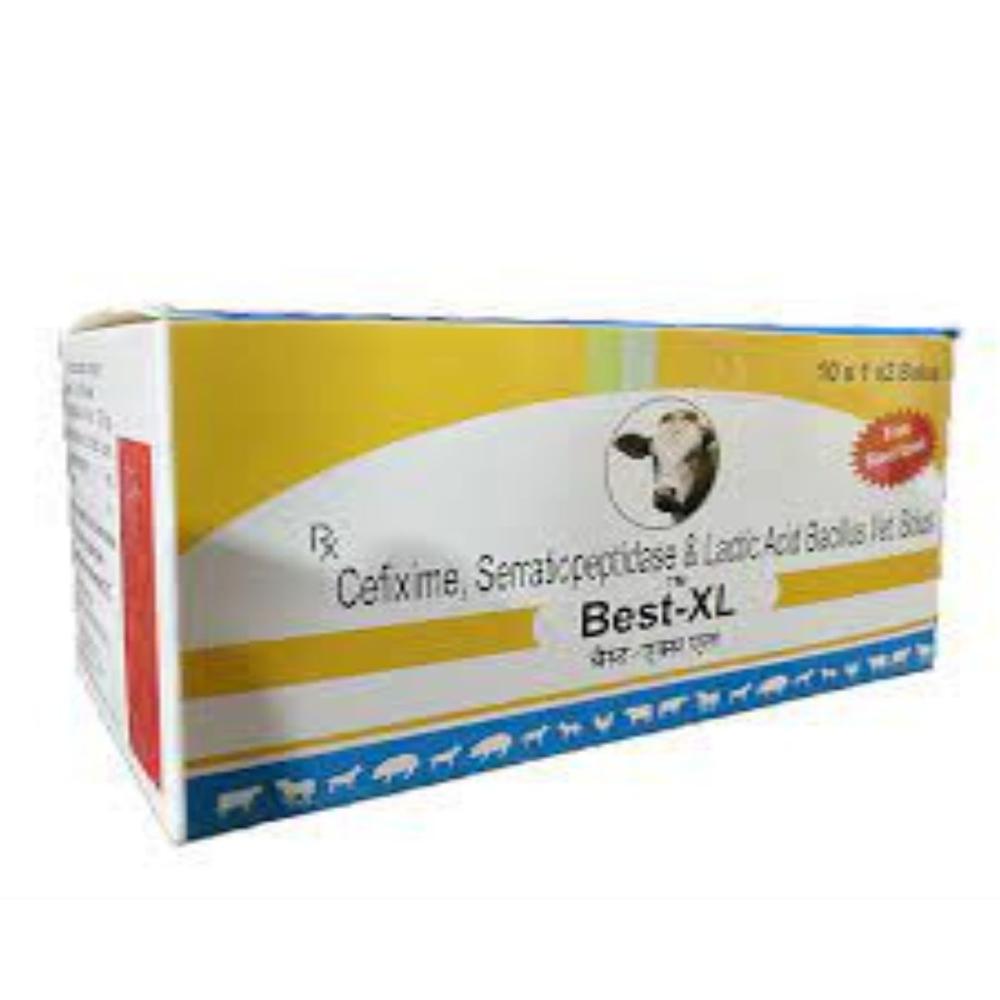 Best-XL Cefixime, Serratiopeptidase and Lactic acid bacillus Bolus