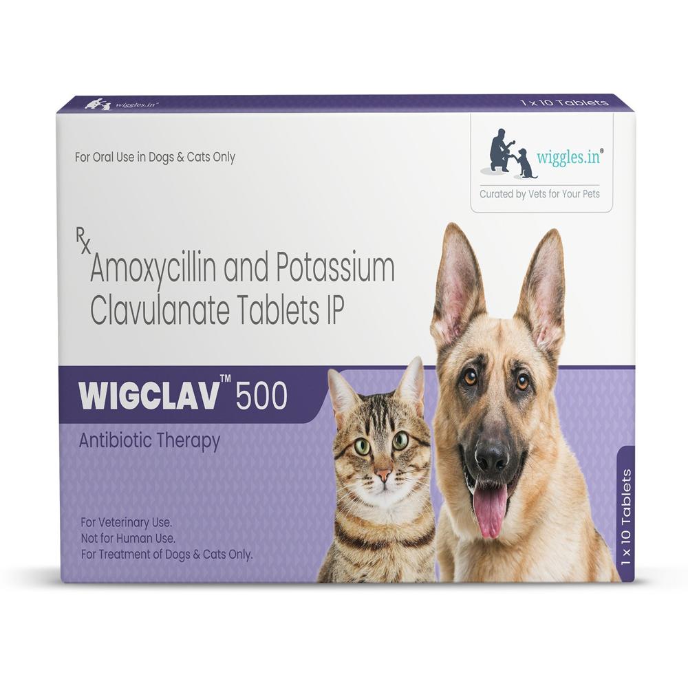 Wigclav 500 AMOXYCILLIN and POTASSIUM CLAVULANATE Tablets