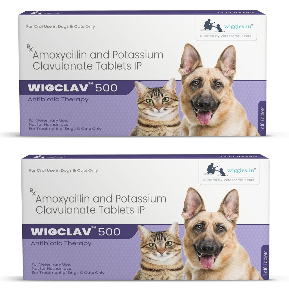 Wigclav 500 AMOXYCILLIN and POTASSIUM CLAVULANATE Tablets